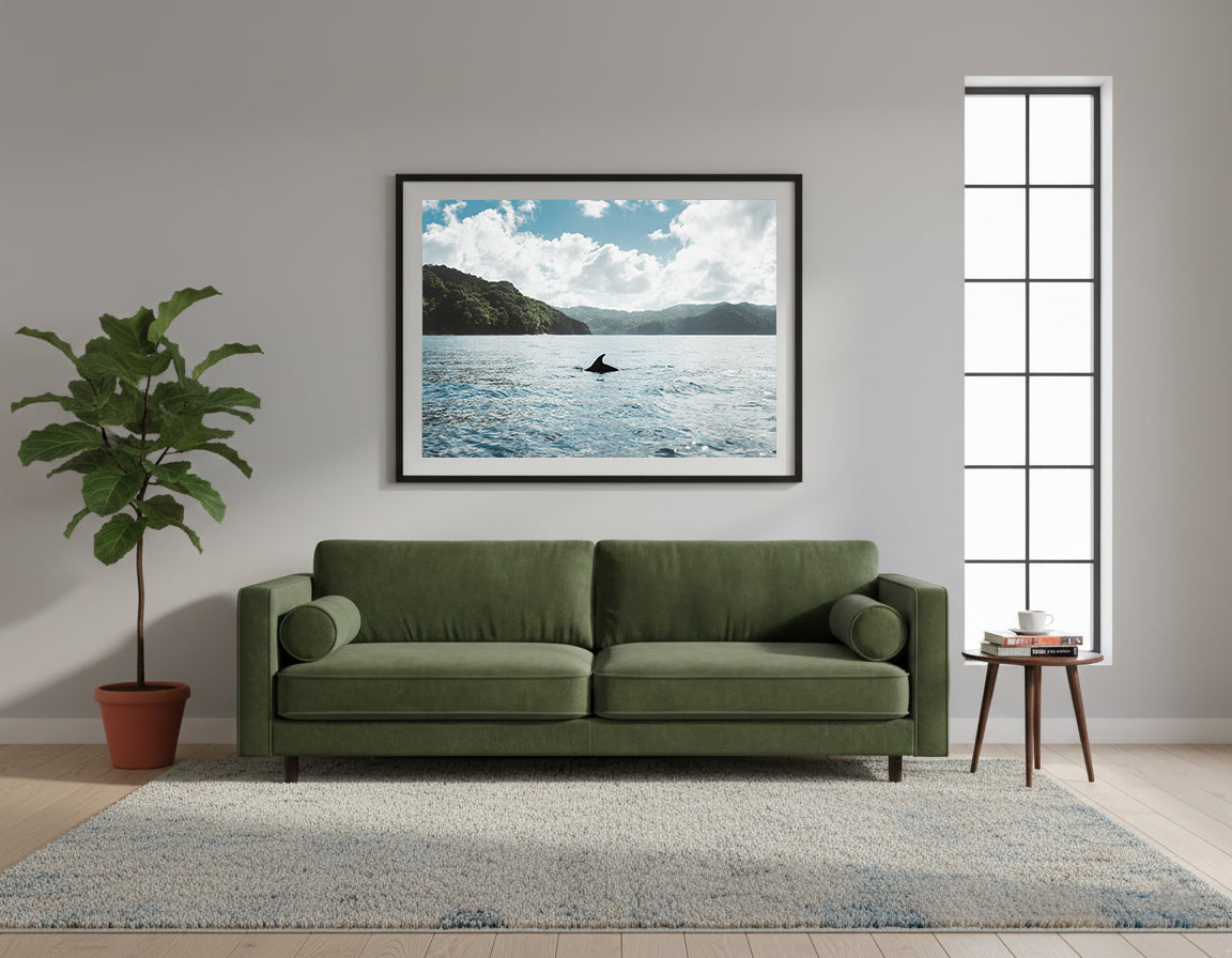 Framed dolphin swimming in a body of water with mountains in the background in Panama.