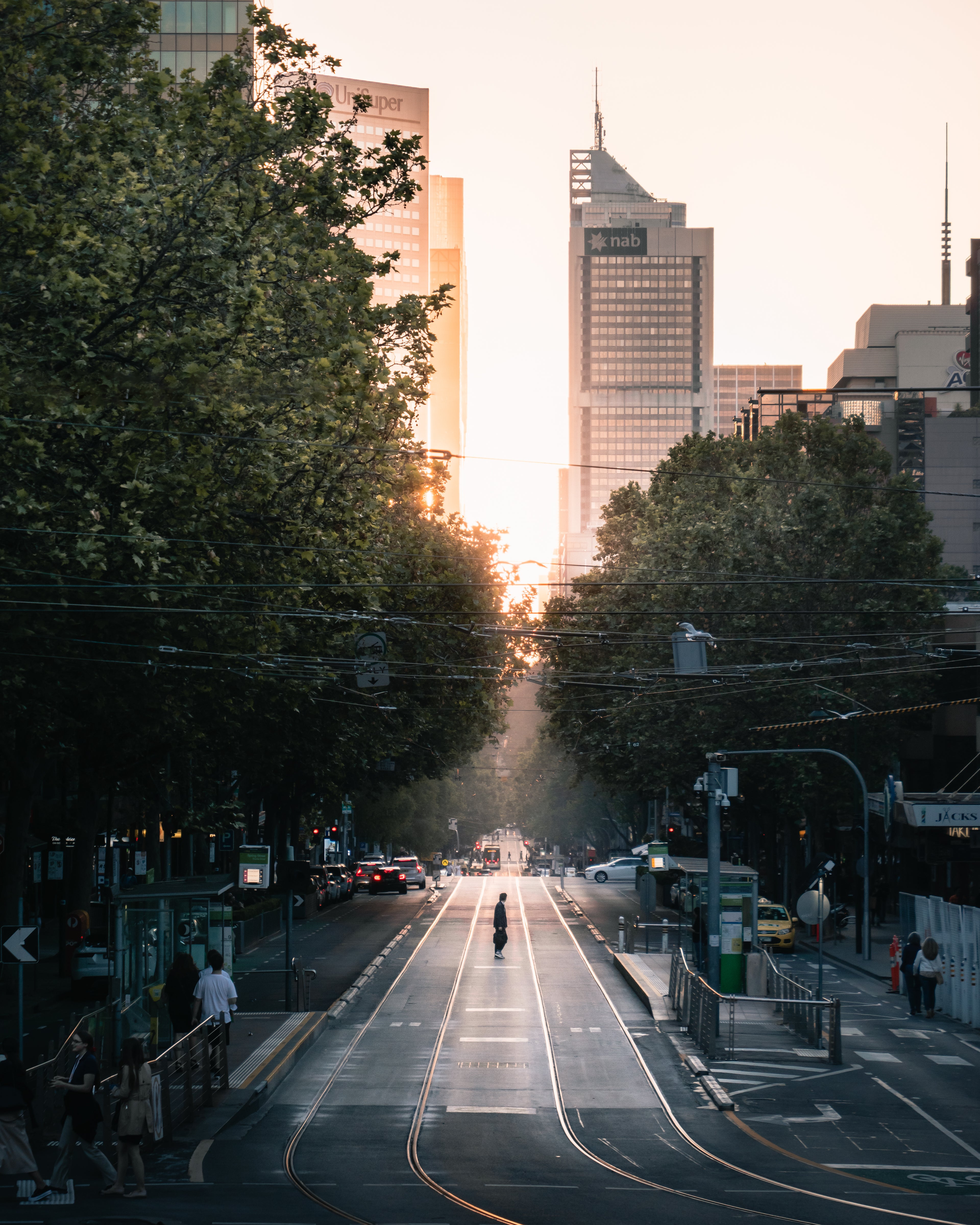 City street with tall buildings and trees lining the road during sunset.