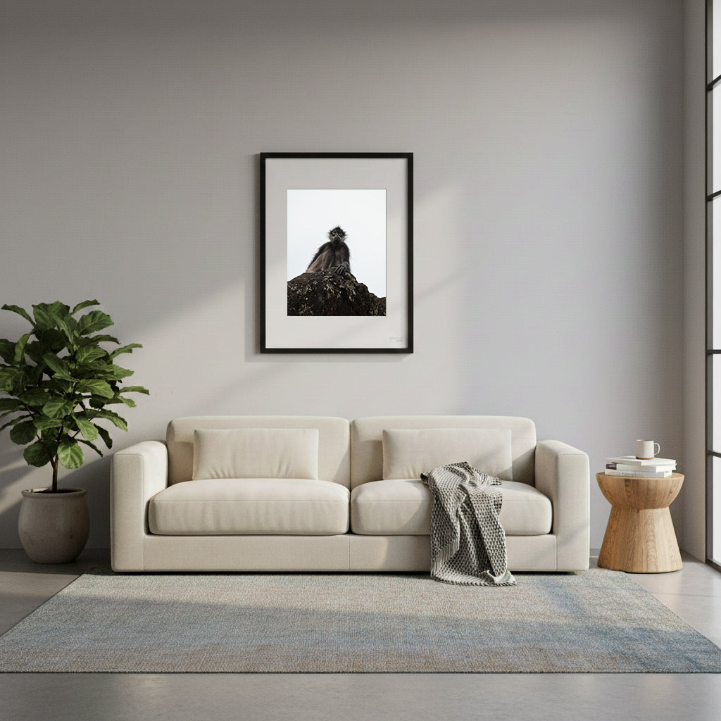 Framed spider monkey in Tikal, Guatemala, on a rock with a white background.
