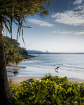Beach scene with a person holding a surfboard, surrounded by greenery and clear sky in Noosa, Queensland, Australia. 