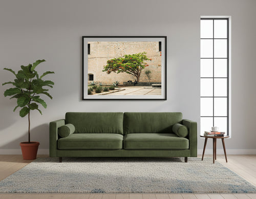 Framed tree with red flowers in a courtyard in Oaxaca, Mexico, with a stone wall and benches. A lone man sits under the tree.